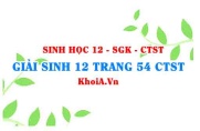 Giải Sinh 12 trang 54 Chân trời Sáng tạo